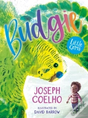 Capa do artigo Budgie
