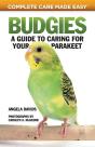 Budgies - Preview