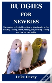 Capa do artigo Budgies For Newbies