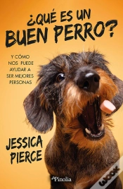 Capa do artigo Buen Perro