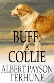 Capa do artigo Buff: A Collie