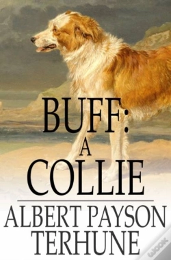 Capa do artigo Buff: A Collie