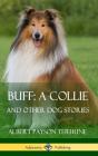 Buff; A Collie - Preview