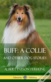 Capa do artigo Buff; A Collie