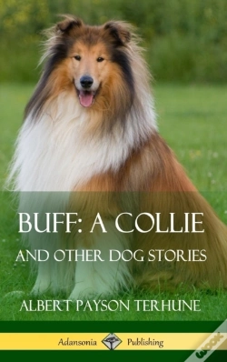 Capa do artigo Buff; A Collie