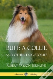 Capa do artigo Buff; A Collie