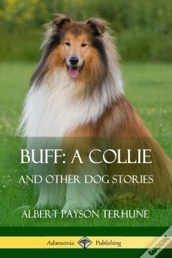 Capa do artigo Buff; A Collie