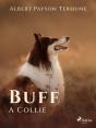 Buff: A Collie - Preview