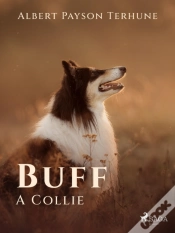 Capa do artigo Buff: A Collie