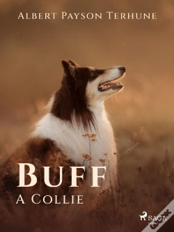 Capa do artigo Buff: A Collie