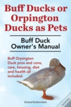 Capa do artigo Buff Ducks Or Buff Orpington Ducks As Pe