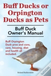 Buff Ducks Or Buff Orpington Ducks As Pe