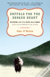 Capa do artigo Buffalo For The Broken Heart