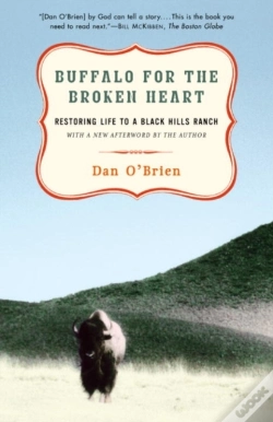 Capa do artigo Buffalo For The Broken Heart
