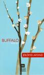 Buffalo - Preview