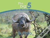 Buffalo