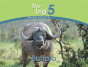 Buffalo - Preview