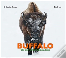 Capa do artigo Buffalo
