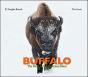 Buffalo - Preview
