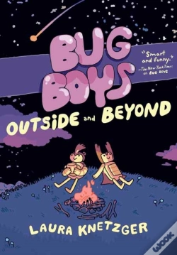 Capa do artigo Bug Boys: Outside And Beyond