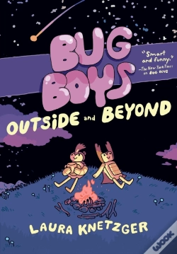 Capa do artigo Bug Boys: Outside And Beyond