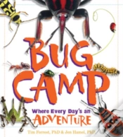 Capa do artigo Bug Camp