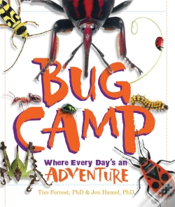 Capa do artigo Bug Camp