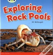 Capa do artigo Bug Club Green C Exploring Rock Pools 6-Pack