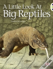 Capa do artigo Bug Club Guided Non Fiction Year 1 Blue B A Little Look At Big Reptiles