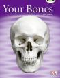 Bug Club Guided Non Fiction Year 1 Green C Your Bones - Preview