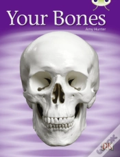 Capa do artigo Bug Club Guided Non Fiction Year 1 Green C Your Bones