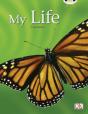 Bug Club Guided Non Fiction Year 1 Yellow C My Life - Preview