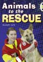 Bug Club Guided Non Fiction Year 2 Gold B Animals To The Rescue - Preview