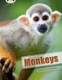 Bug Club Guided Non Fiction Year 3 White A Monkeys - Preview
