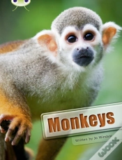 Capa do artigo Bug Club Guided Non Fiction Year 3 White A Monkeys
