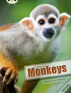 Capa do artigo Bug Club Guided Non Fiction Year 3 White A Monkeys