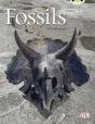 Bug Club Guided Non Fiction Year Two Gold A Fossils - Preview