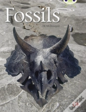 Capa do artigo Bug Club Guided Non Fiction Year Two Gold A Fossils