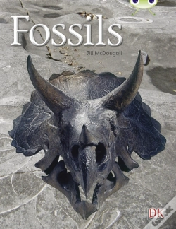 Capa do artigo Bug Club Guided Non Fiction Year Two Gold A Fossils