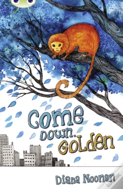 Capa do artigo Bug Club Independent Fiction Year 3 Brown A Come Down, Golden