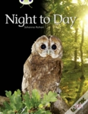 Capa do artigo Bug Club Independent Non Fiction Night To Day