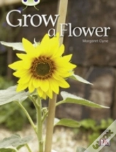 Bug Club Independent Non Fiction Reception Red C Grow A Flower