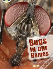 Bug Club Independent Non Fiction Year Two Lime A Bugs In Our Homes