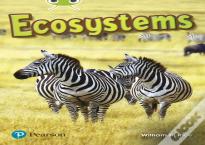 Bug Club Independent Non Fiction Year Two Lime Plus A Ecosystems