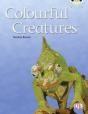 Bug Club Independent Non Fiction Year Two Orange B Colourful Creatures - Preview