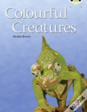 Capa do artigo Bug Club Independent Non Fiction Year Two Orange B Colourful Creatures