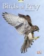 Bug Club Independent Non Fiction Year Two White A Birds Of Prey - Preview