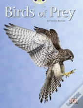 Bug Club Independent Non Fiction Year Two White A Birds Of Prey