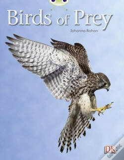 Capa do artigo Bug Club Independent Non Fiction Year Two White A Birds Of Prey