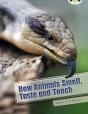 Bug Club Independent Non Fiction Year Two White A How Animals Smell, Taste And Touch - Preview